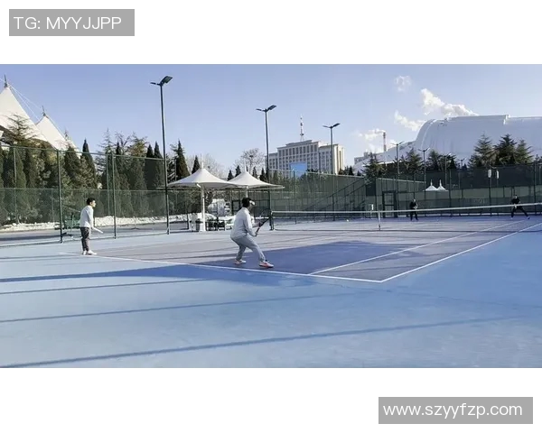 杭州网球队区域防守分析及其在比赛中的成效与不足探讨