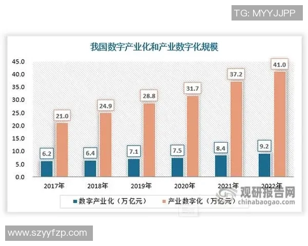 深入探讨WE耐力表现的数据分析与趋势解读