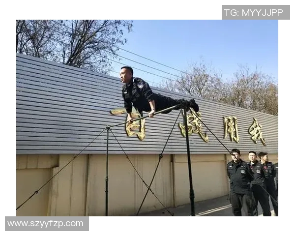 重庆乒乓球队奋斗历程的真实记录与精神传承