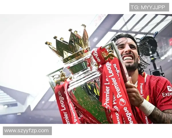 探寻索博斯洛伊的历史与文化魅力，揭开这座城市的神秘面纱