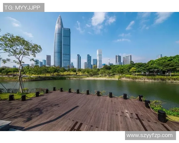 2015年上海与深圳对比视频回顾城市发展与文化差异